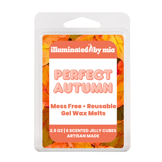 Perfect Autumn Gel Wax Melts