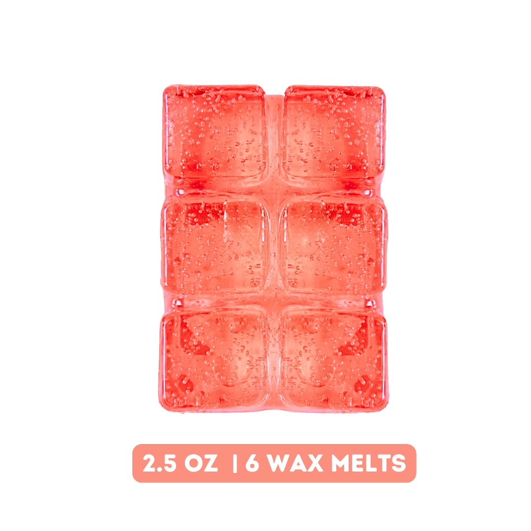 Champagne Wish Wax Melts