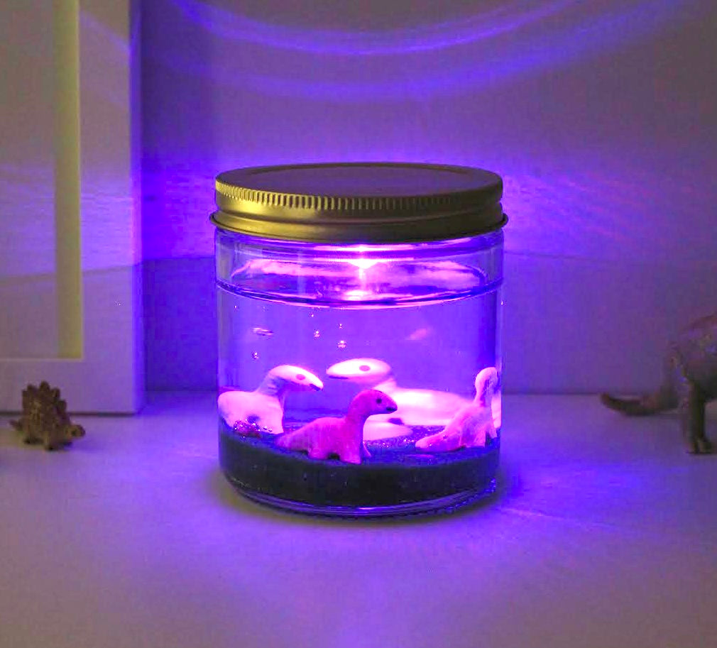 Baby Dino Wonder Light