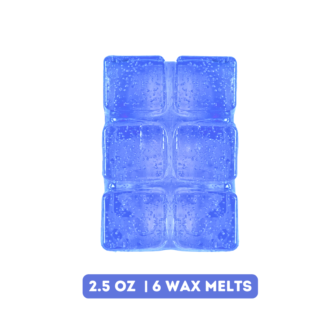 Blueberry Cheesecake Gel Wax Melts