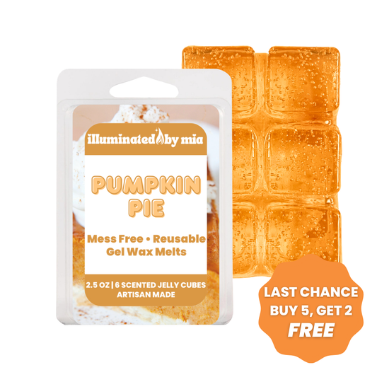 Pumpkin Pie Gel Wax Melts
