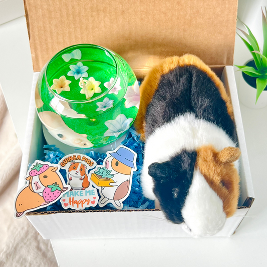 Guinea Pig Gift Box