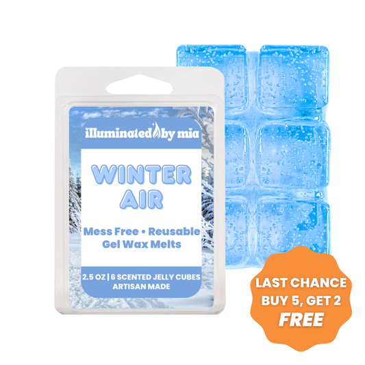 Winter Air Gel Wax Melts