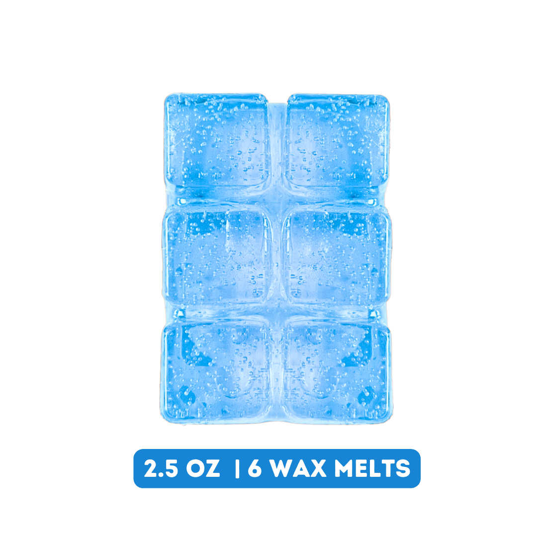 Snuggly Bear Gel Wax Melts