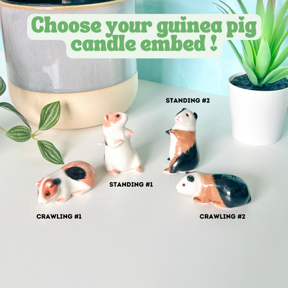 Guinea Pig Candle