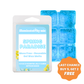 Spring Paradise Gel Wax Melts