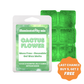 Cactus Flower Gel Wax Melts