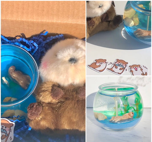 Otter Gift Box
