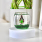 MINI Lampwork Glass Flower Candle